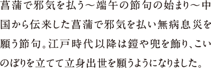 菖蒲で邪気を払う〜端午の節句の始まり〜中国から伝来した菖蒲で邪気を払い無病息災を願う節句。江戸時代以降は鎧や兜を飾り、こいのぼりを立てて立身出世を願うようになりました。